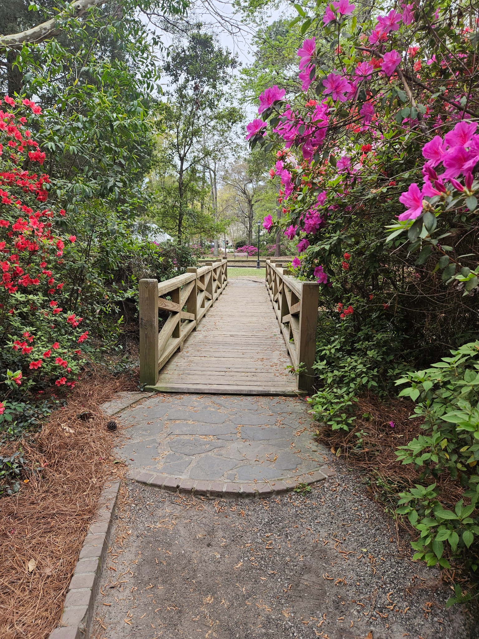 Flower-lined garden path and bridge